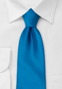 Cravate bleu roi unie
