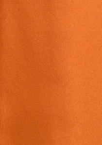 Cravate orange unie