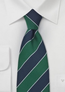 Cravate classique rayée bleu marine et vert