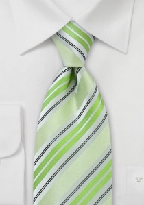 Cravate verte à rayures grises