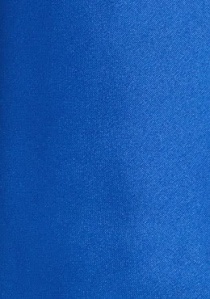 Noeud papillon et foulard décoratif bleu royal