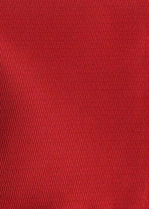 Set noeud avec pochette pour homme structure rouge