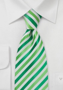 Cravate rayée tons verts