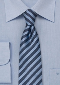 Cravate étroite en bleu