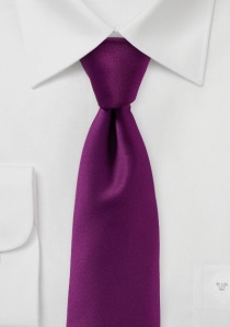 Cravate d'affaires remarquable unie lilas