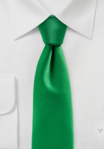 Cravate à la mode monochrome vert forêt