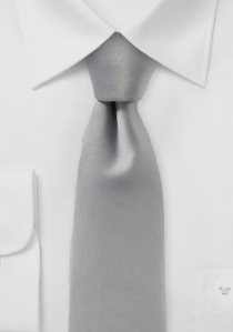 Cravate homme marquante unie gris argenté