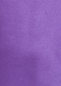 Cravate violette unie