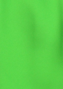 Cravate clip vert vif unie