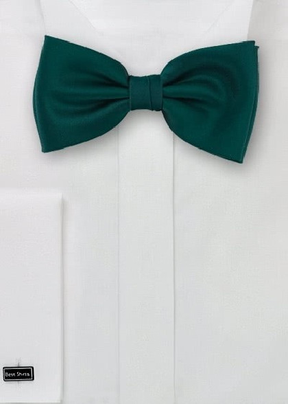 Noeud papillon enfant aus dem gleichen Stoff und Farbe