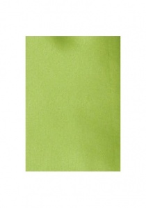 Cravate extra étroite forme vert forêt - pack de