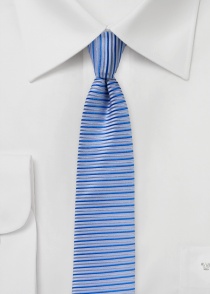 Cravate étroite rayée horizontale bleue argentée