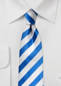Cravate d'affaires rayures blanches bleu