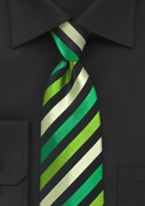 Cravate noire rayures vertes