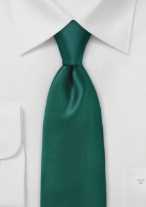 Cravate vert pin unie