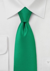 Cravate vert Italie unie