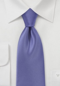 Cravate lilas éclat