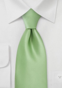 Cravate enfant vert tendre unie