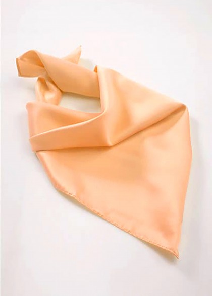 Foulard aus dem gleichen Stoff und Farbe