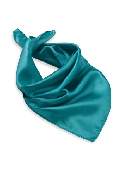 Foulard aus dem gleichen Stoff und Farbe