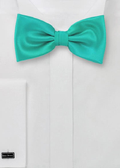 Noeud papillon vert émeraude
