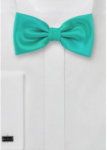 Noeud papillon vert émeraude