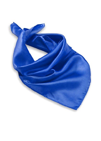 Foulard aus dem gleichen Stoff und Farbe