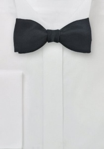 Noeud papillon à nouer aus dem gleichen Stoff und Farbe