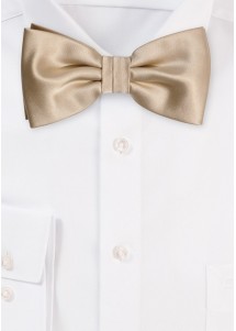 Couleur champagne noeud papillon