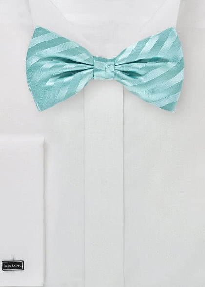 Nœud papillon aus dem gleichen Stoff und Farbe