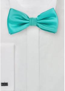Fliege mint Mikrofaser