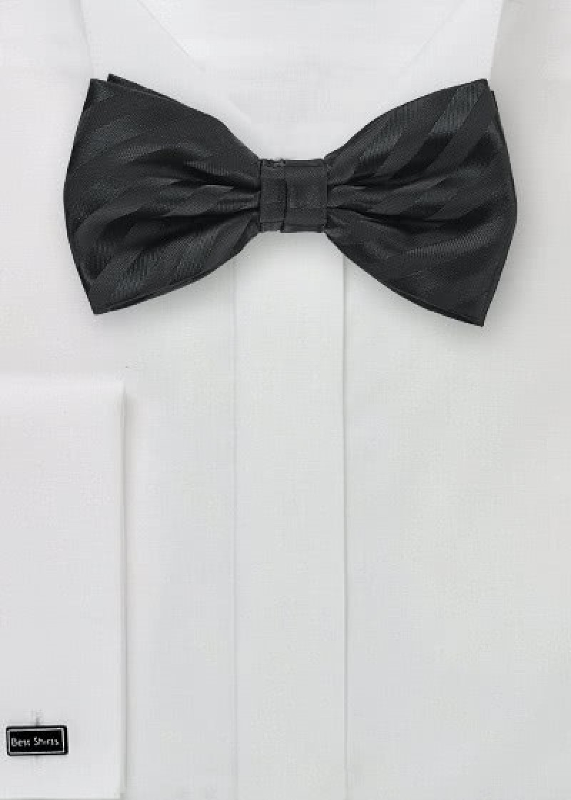 Noeud papillon rayures noires ton sur ton