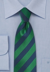 Cravate rayée en vert et bleu