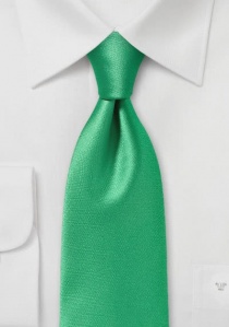 Cravate vert printemps unie