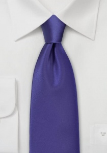 Cravate homme unie polyfibre violette