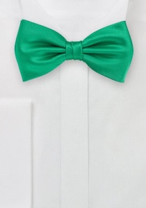 Noeud papillon vert printemps uni