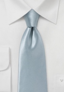 Cravate gris argenté unicolore