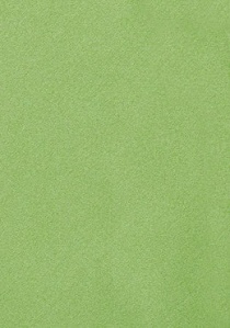 Cravate business microfibre Clip uni vert