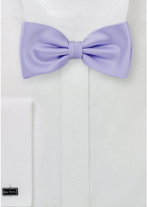 Noeud papillon parme satiné
