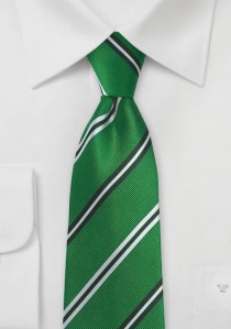 Cravate verte rayée noir et blanc