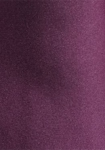 Cravate violet pourpre lumineuse