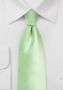Cravate vert d'eau lumineuse