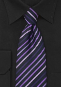 Cravate clip business à rayures noir violet