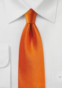 Cravate brillante orange vif