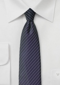 Cravate rayée violet foncé lumineux