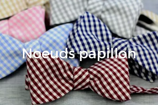 Corbatero y 14 corbatas de marcas de renombre Hommes Accessoires Cravates & pochettes Emidio Tucci Cravates & pochettes 